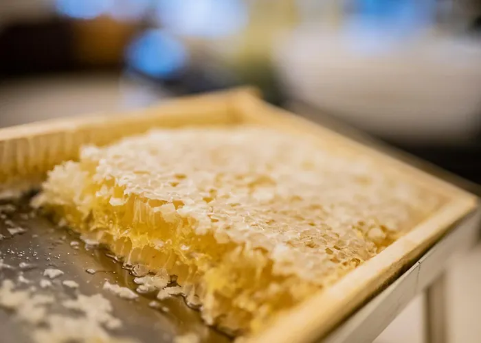 Legendaer Aparthotel Stiegl